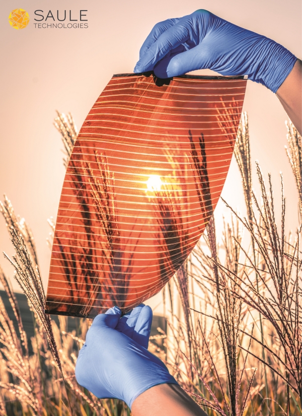 Lightweight and semi-transparent perovskite solar module