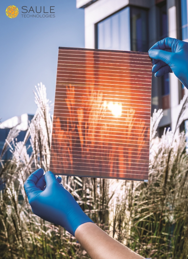 Lightweight and semi-transparent perovskite solar module