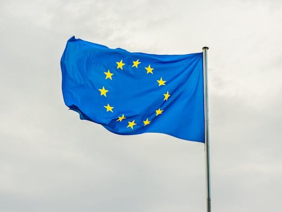 EU_flag2