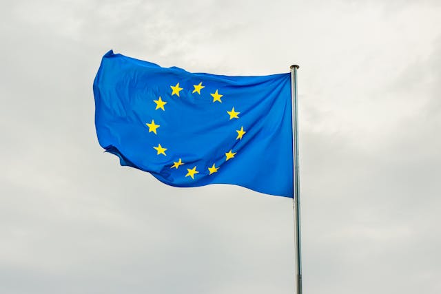 EU_flag2