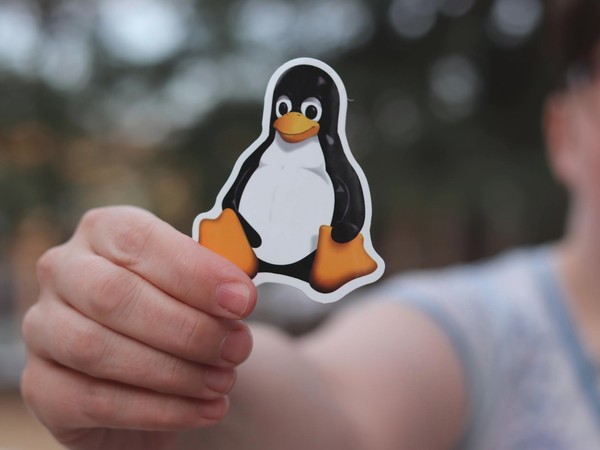 Francja wybiera Linuxa 1